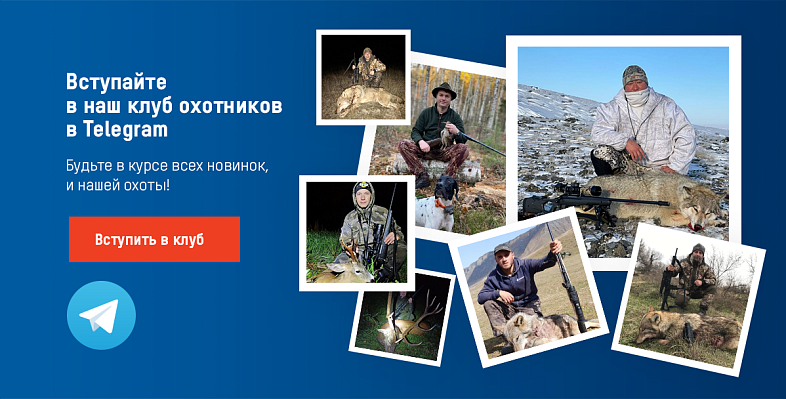 Подписывайтесь на нас в ТГ